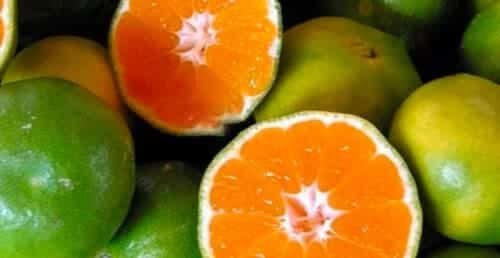 Mandarin peel extract