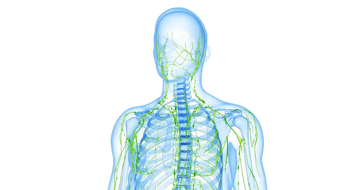 Lymphatic system cleansing, cleansing lymphatic system, lymph cleansing