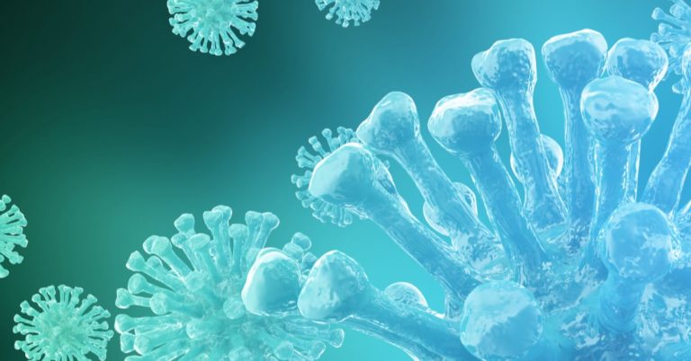 Vīrusu profilakse, Профилактика вирусов во время вирусной эпидемии