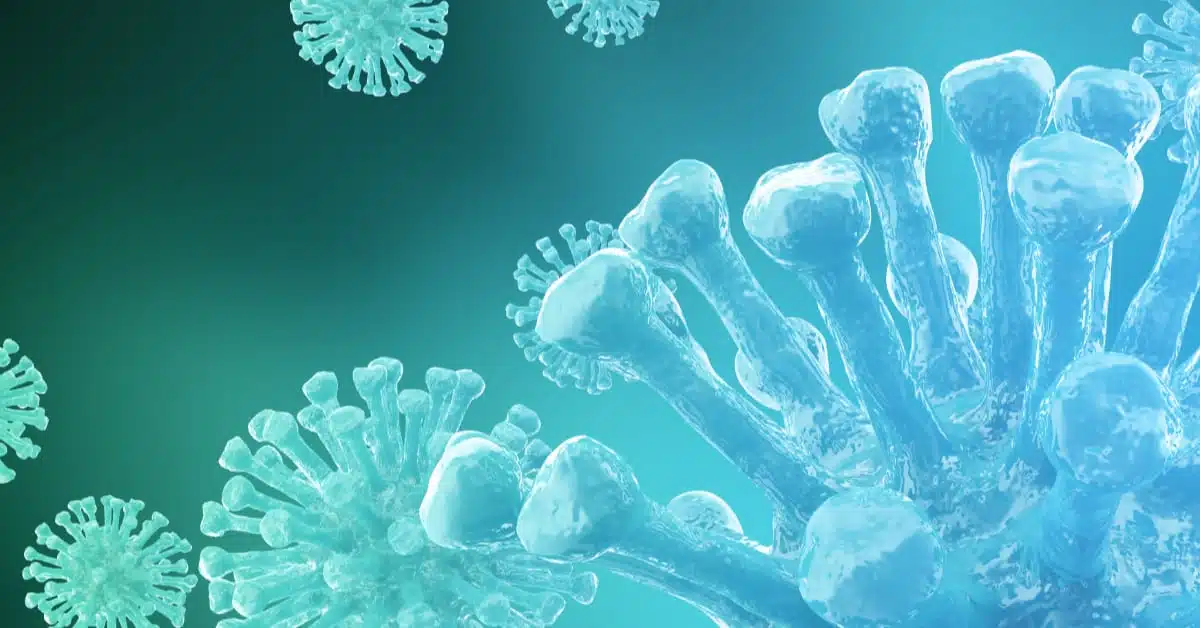 Virus prevention during viral epidemics