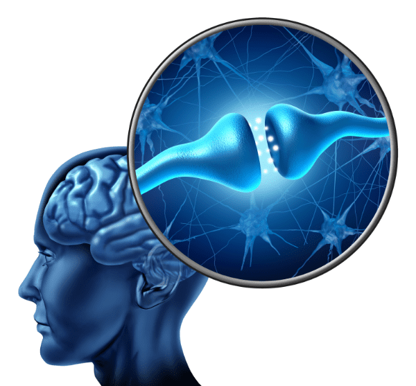 head neuronal links