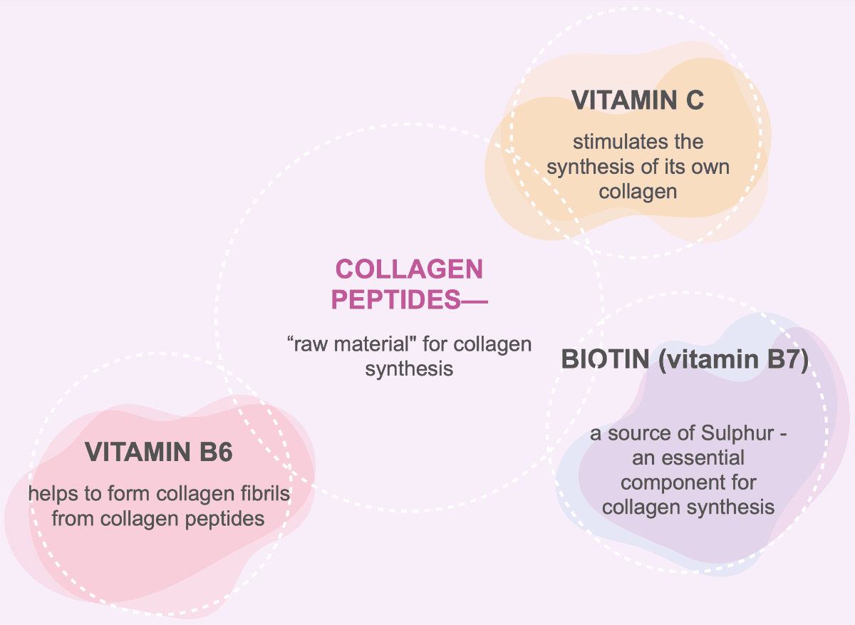 Collagen synthesis