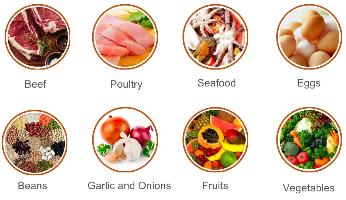 Natural suppliers of sulfur - Beef, Poultry, Seafood, Eggs, Legumes Garlic, Onion stalks, Fruits, Vegetables