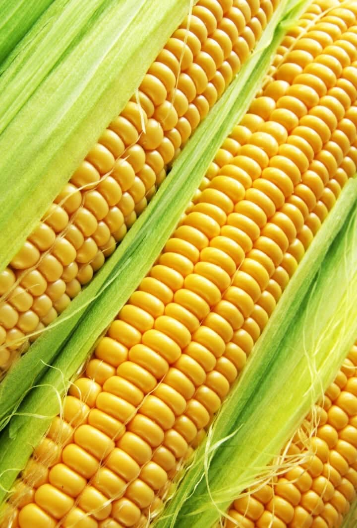 corn